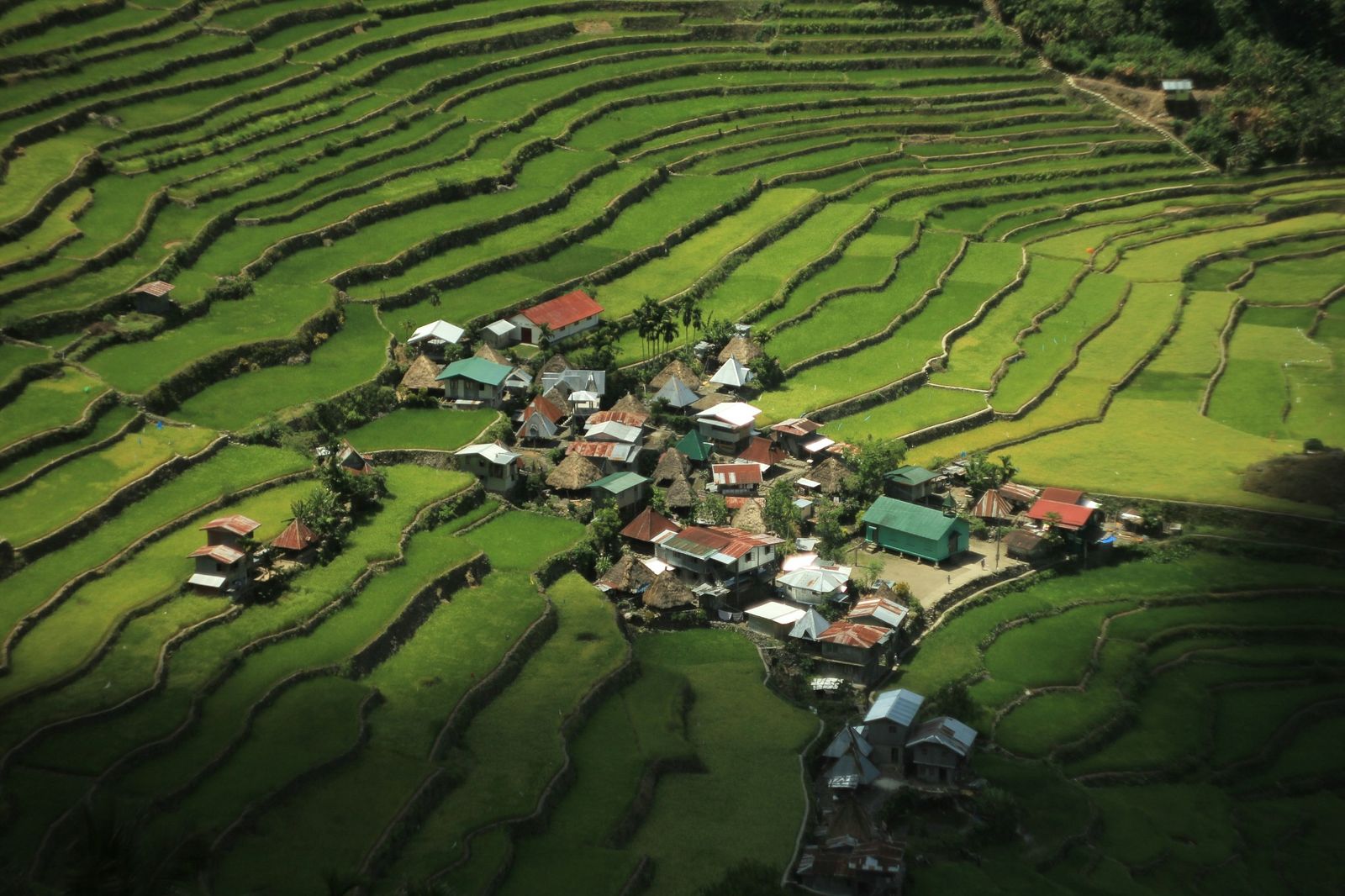 Terraced rice fields with a small village in the mountains of the Philippines